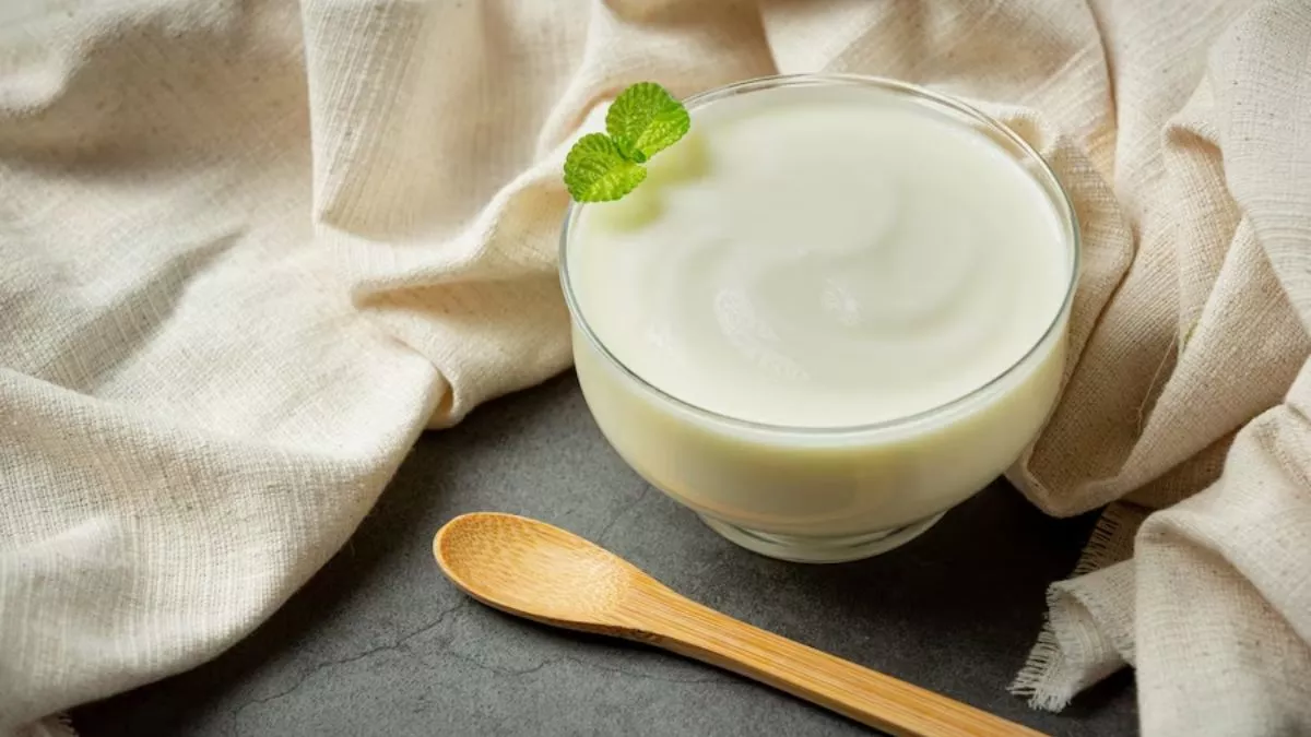 sardi mein dahi khane ka sahi samay what is the right time to eat curd yogurt 2