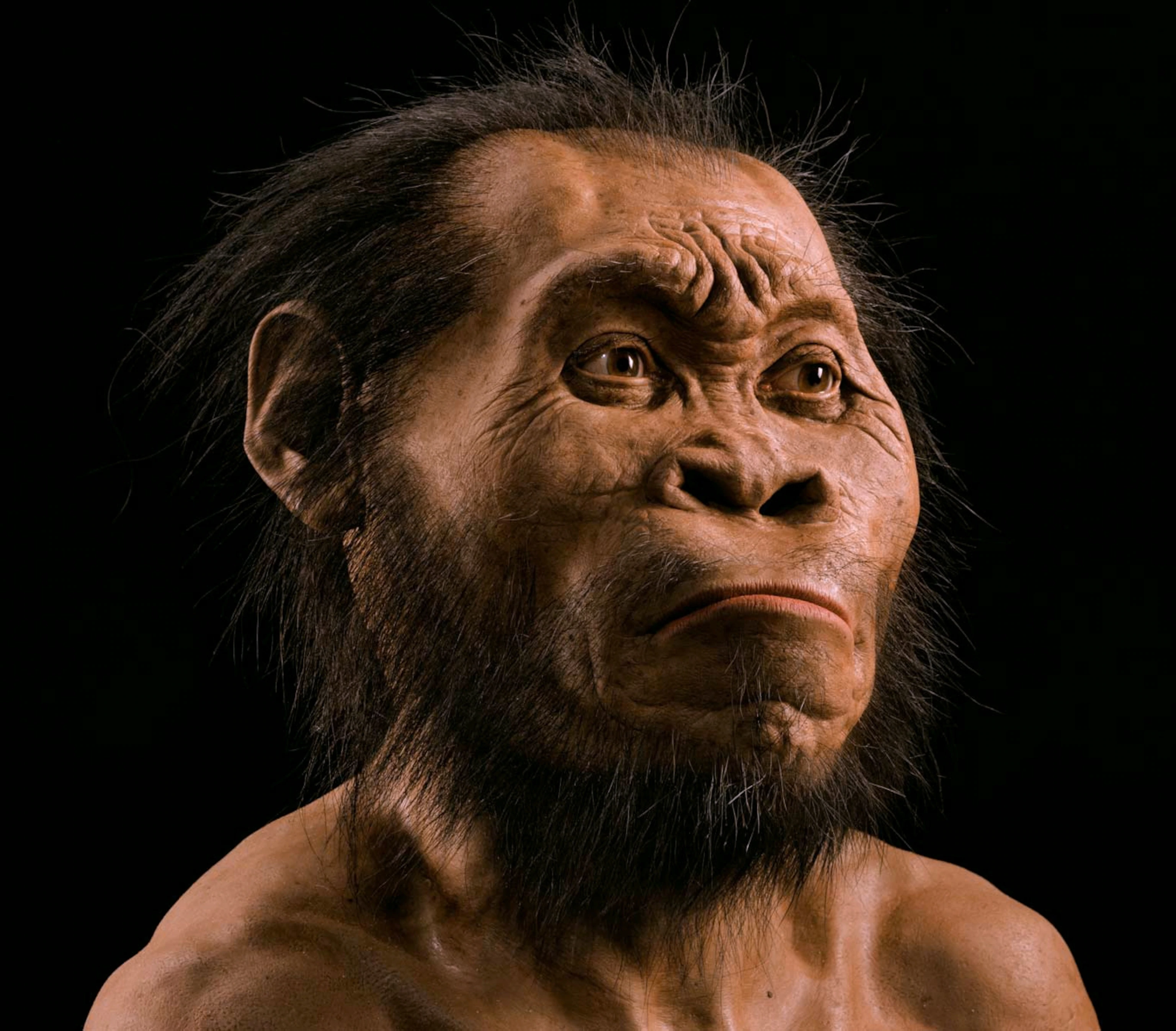 50 year old discovery that revolutionised human prehistory is still as important as it was1