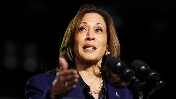 america kamala harris next option after us election loss can write a book w34