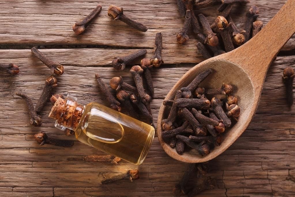 cloves can work as a natural anesthetic to relieve toothaches because they contain eugenol1