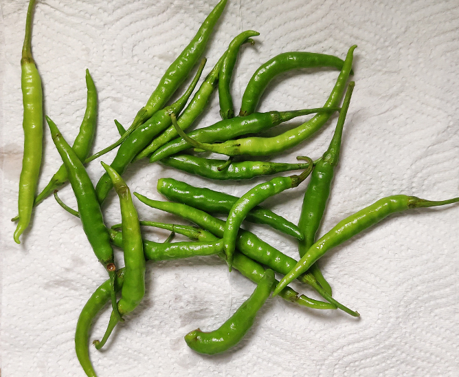 how to store green chillies to keep them fresh for long time