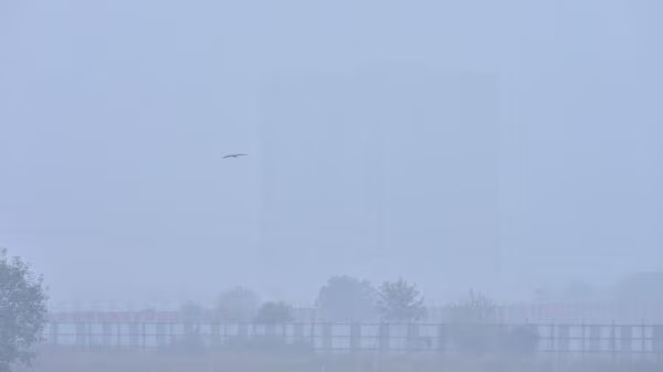 imd weather forecast delhi ncr dense fog maharashtra cold waves alert2