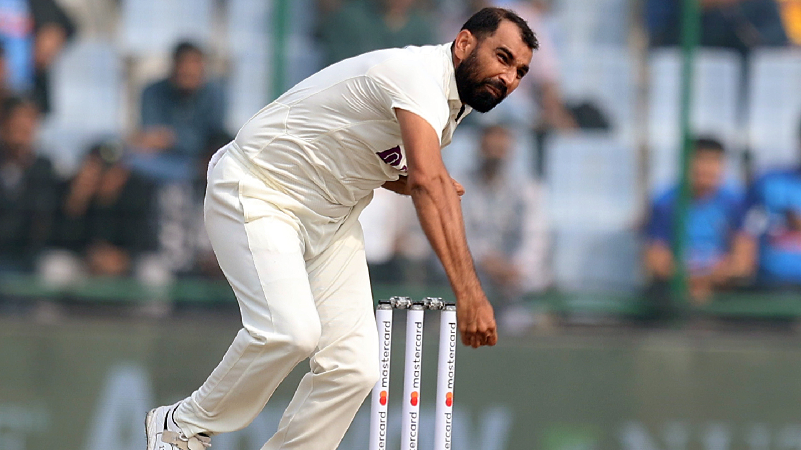 mohammed shami replacement for indian cricket team by former australian batter matthew hayden before border gavaskar trophy 20241