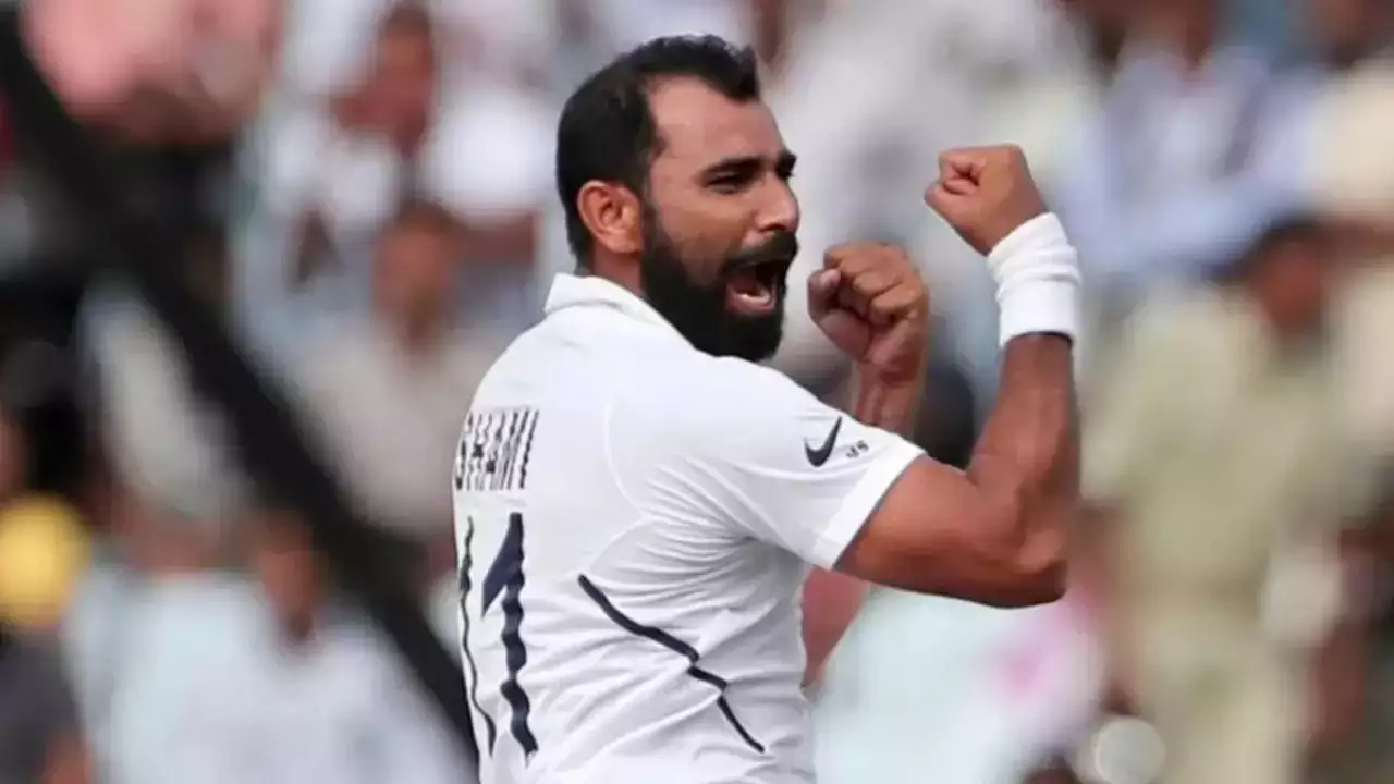 mohammed shami replacement for indian cricket team by former australian batter matthew hayden before border gavaskar trophy 20242