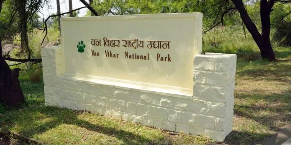 mp jungle safari bhopal van vihar national park become expensive increased fees1