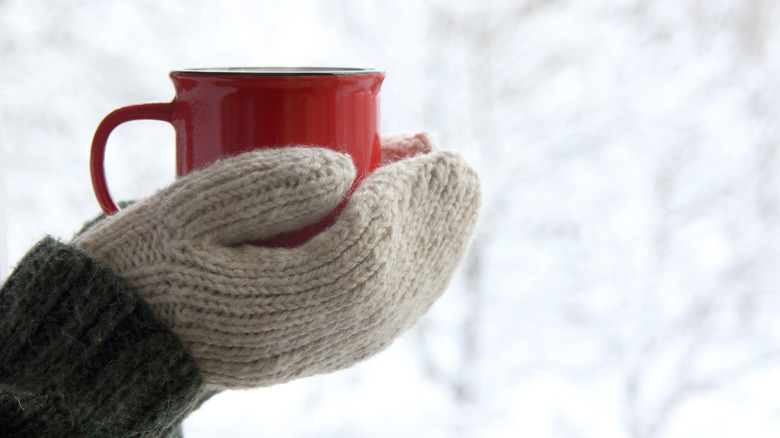 natural drinks to keep you warm this winter best hot drinks to warm you up2