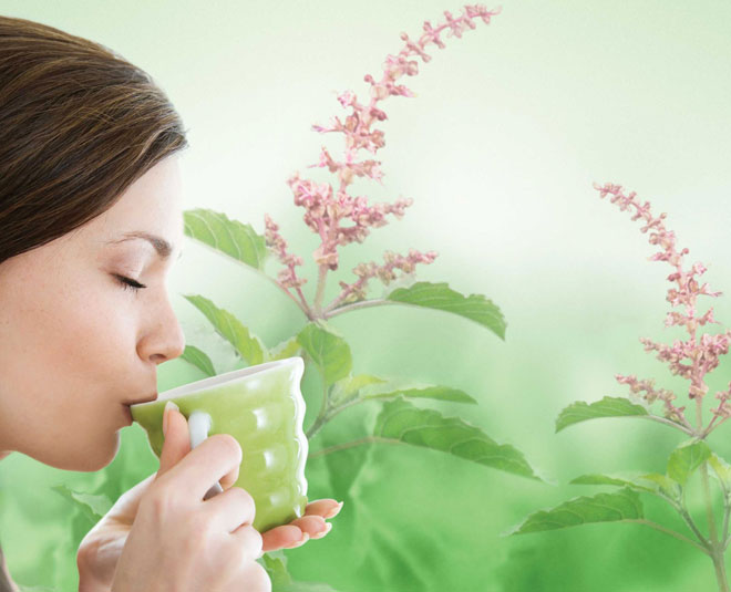 tulsi water in the morning amazing health benefits of tulsi1