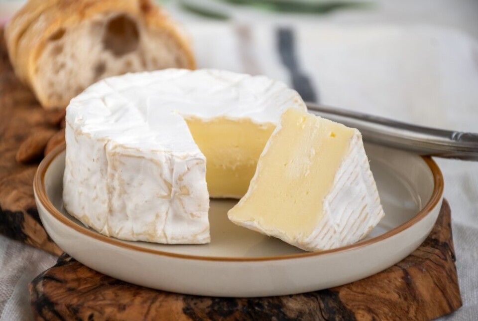 cheese can improve memory and good for brain research2