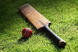 jaipur live match cricketer death former ranji player yash gaud died of a heart attack while fielding rajasthan newsyreryr