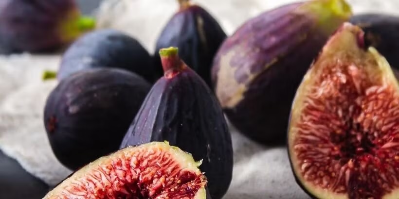 know fascinating facts about fig tree you dont know1