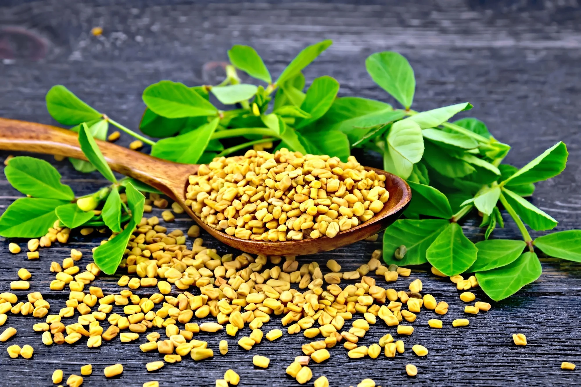 sprouted fenugreek seeds health benefits ankurit methi to control blood sugar levelretwtwe4t