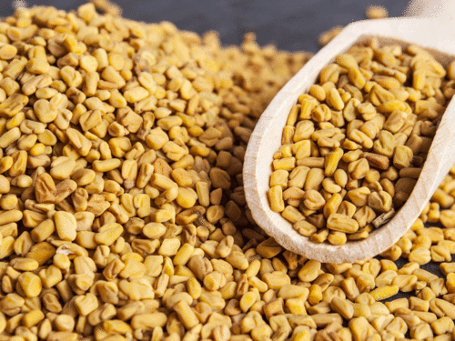 sprouted fenugreek seeds health benefits ankurit methi to control blood sugar levelyruet