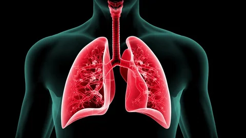 there are many things you can do at home to keep your lungs healthy1