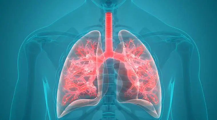 there are many things you can do at home to keep your lungs healthy2