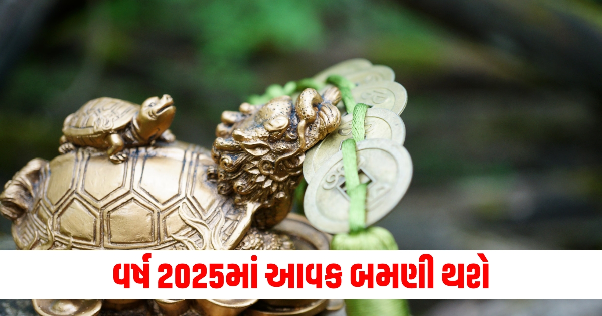 વર્ષ 2025માં આવક બમણી થશે, ફેંગશુઈ ટર્ટલથી લઈને ગોલ્ડ ફિશ સુધીના આ ઉપાયોથી ધન મળશે. top 5 fengshui tips in hindi for money and luck in