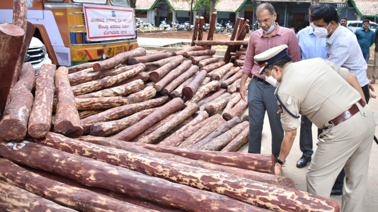 gujarat khair wood smuggling film pushpa style international racket