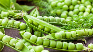 health if you are also eating peas a lot in winter then know how its taste can affect your health