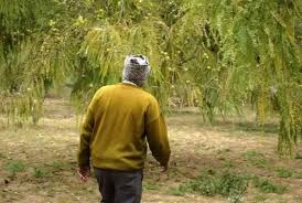 success story of farmer amar singh of rajasthan know how you became a millionaire by growing gooseberry