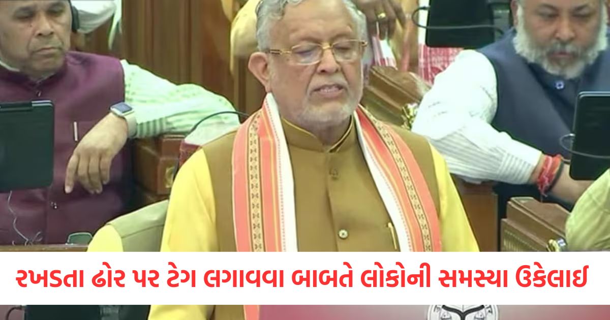 your problem has been solved suresh khanna cornered opposition by announcing plan for tagging stray cattle