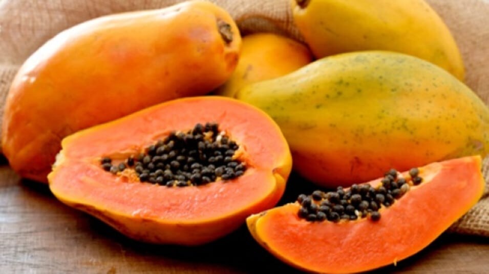 benefits of papaya seeds what happend when you eat papaya seeds papita ke beej khane ke faydefguytg