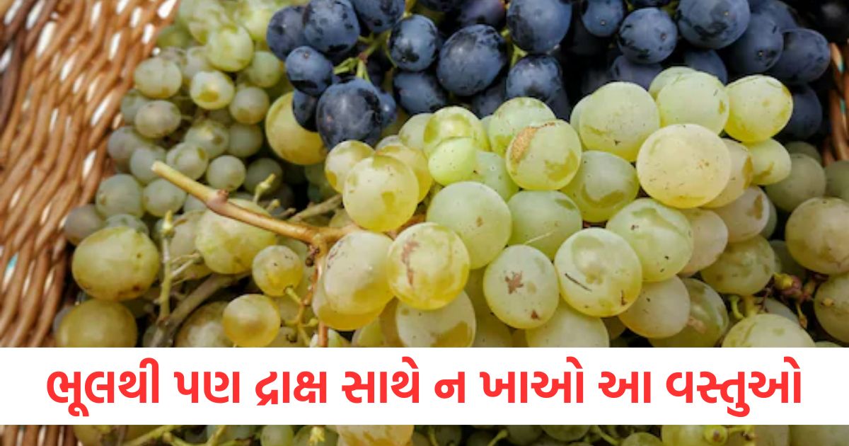 ભૂલથી પણ દ્રાક્ષ સાથે ન ખાઓ આ વસ્તુઓ, પાછળથી પસ્તાવું પડી શકે છે ભૂલથી પણ દ્રાક્ષ સાથે ન ખાઓ આ વસ્તુઓewr