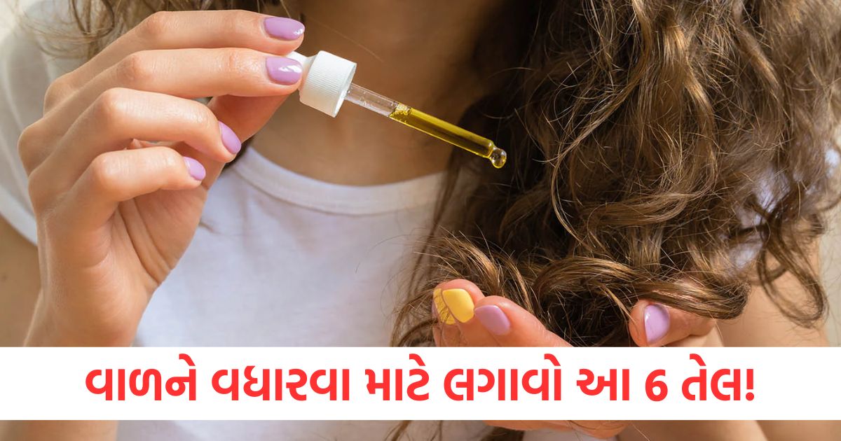 વાળને બમણા ઝડપી બનાવવા માટે લગાવો આ 6 તેલ! રોજિંદા ઉપયોગ ખૂબ ફાયદાકારક રહેશે વાળને વધારવા માટે લગાવો આ 6 તેલwer
