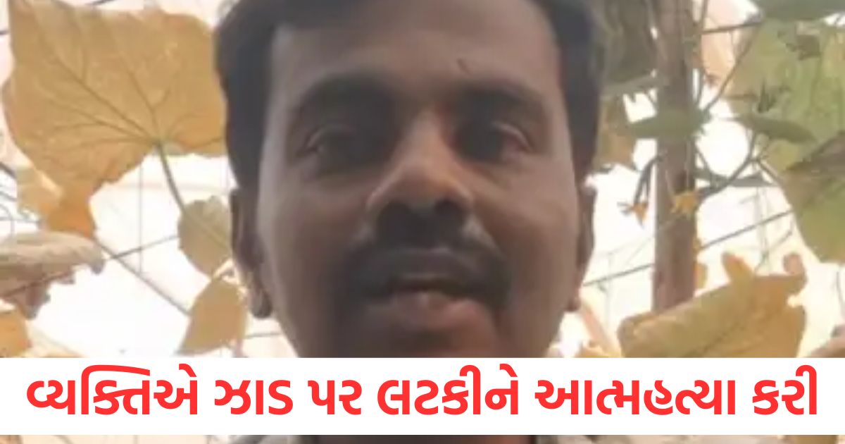 બેંગલુરુમાં વ્યક્તિએ ઝાડ પર લટકીને આત્મહત્યા કરી, ભાજપ નેતા પર છેડતીનો આરોપ લગાવ્યો a man hanged himself from a tree in bengaluru and committed suicide accusing a bjp leader of harassment