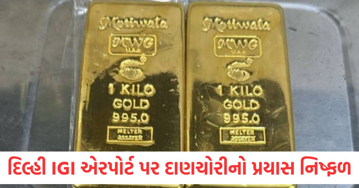 દિલ્હી IGI એરપોર્ટ પર દાણચોરીનો પ્રયાસ નિષ્ફળ, દુબઈથી આવી રહેલા મુસાફરની બેગમાંથી 2 કરોડનું સોનું મળ્યું delhi igi airport officers recover rs 2 crore gold from smugglers during custom checking