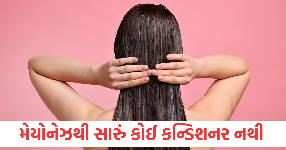 મેયોનેઝથી સારું કોઈ કન્ડિશનર નથી, જાણો તેનો ઉપયોગ કેવી રીતે કરવો how to use mayonnaise as hair conditioner check step by step all process