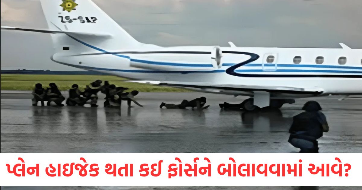 પ્લેન હાઇજેક થાય ત્યારે સૌથી પહેલા કઈ ફોર્સને બોલાવવામાં આવે છે? જવાબ જાણો if plane gets hijacked which force is called immediately know the details