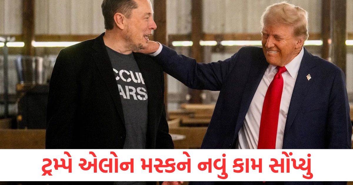 ટ્રમ્પે એલોન મસ્કને નવું કામ સોંપ્યું, શું છે અમેરિકન રાષ્ટ્રપતિનો ‘ગોલ્ડ કાર્ડ’ પ્રોજેક્ટ? trump assigns elon musk doge the task of figuring out a way to launch gold card