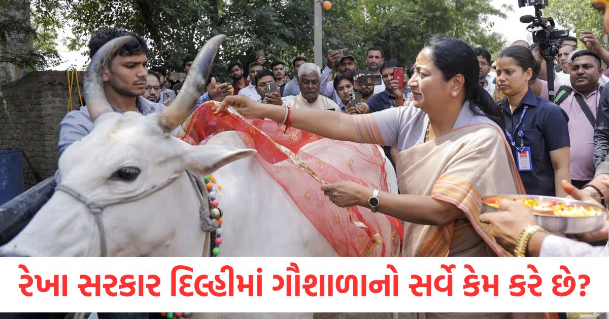 રેખા ગુપ્તા સરકાર દિલ્હીમાં ગૌશાળાનો સર્વે કેમ કરે છે, શું કોઈ નવી યોજના તૈયાર થઈ રહી છે? why delhi rekha gupta government announces cowshed survey what is the scheme