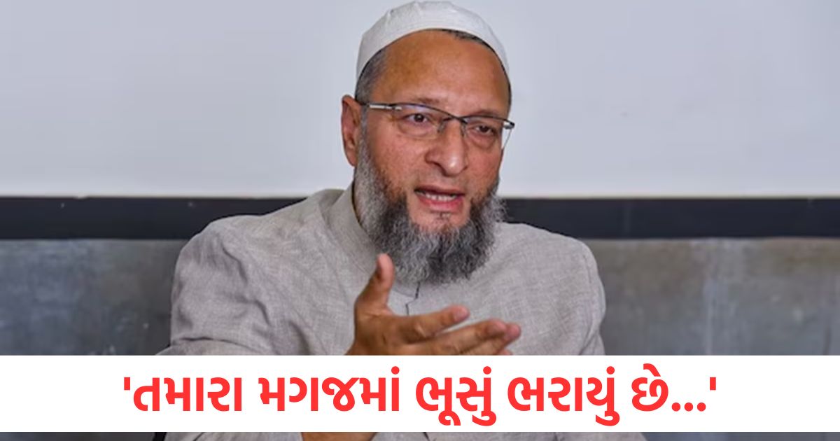 ‘તમારા મગજમાં ભૂસું ભરાયું છે…’, ઓવૈસીએ પાકિસ્તાનીઓ માટે કેમ કહી આટલી મોટી વાત asaduddin owaisi slammed pakistan over social media information war