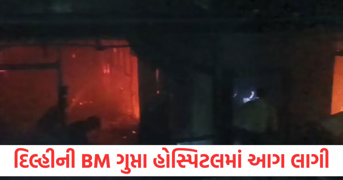 દિલ્હીની BM ગુપ્તા હોસ્પિટલમાં આગ લાગી, ફાયર બ્રિગેડની 11 ગાડીઓ સ્થળ પર delhi fire broke out at bm gupta hospital in uttam nagar 11 fire vehicles on site1