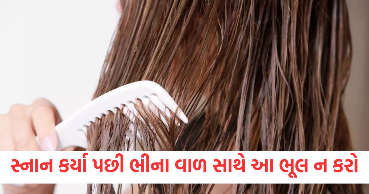 ઉનાળામાં સ્નાન કર્યા પછી ભીના વાળ સાથે સૂવાની ભૂલ ન કરો, ગેરફાયદા વાંચીને તમે ચોંકી જશો dont make the mistake of sleeping with wet hair after bathing in summer