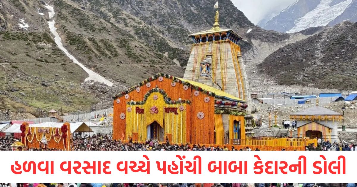 હળવા વરસાદ વચ્ચે કેદારનાથ ધામ પહોંચી બાબા કેદારની ડોલી, આજે સવારે 7 વાગ્યે ખુલ્યા દરવાજા kedarnath dham baba kedar palanquin kedarnath dham rain doors opened today 7 am2