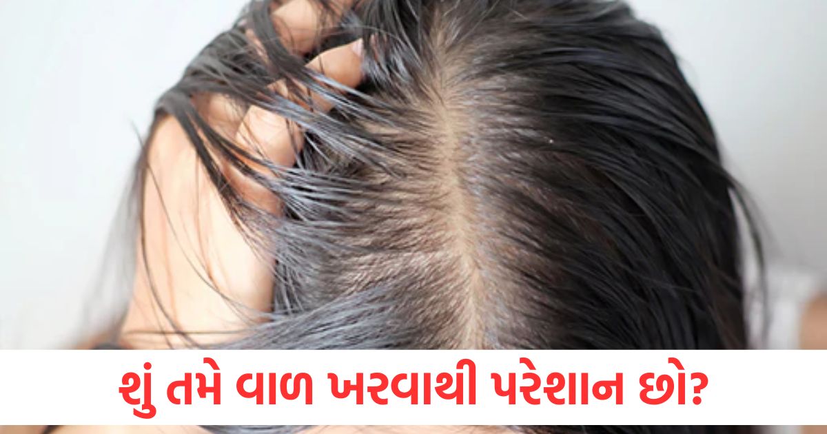 શું તમે વાળ ખરવાથી પરેશાન છો? વાળ ધોયા પછી લગાવો આ 4 વસ્તુઓ, તમારા વાળ બનશે મુલાયમ અને ચમકદાર reduce hair fall 4 things to apply after hair wash for smooth shiny hair2