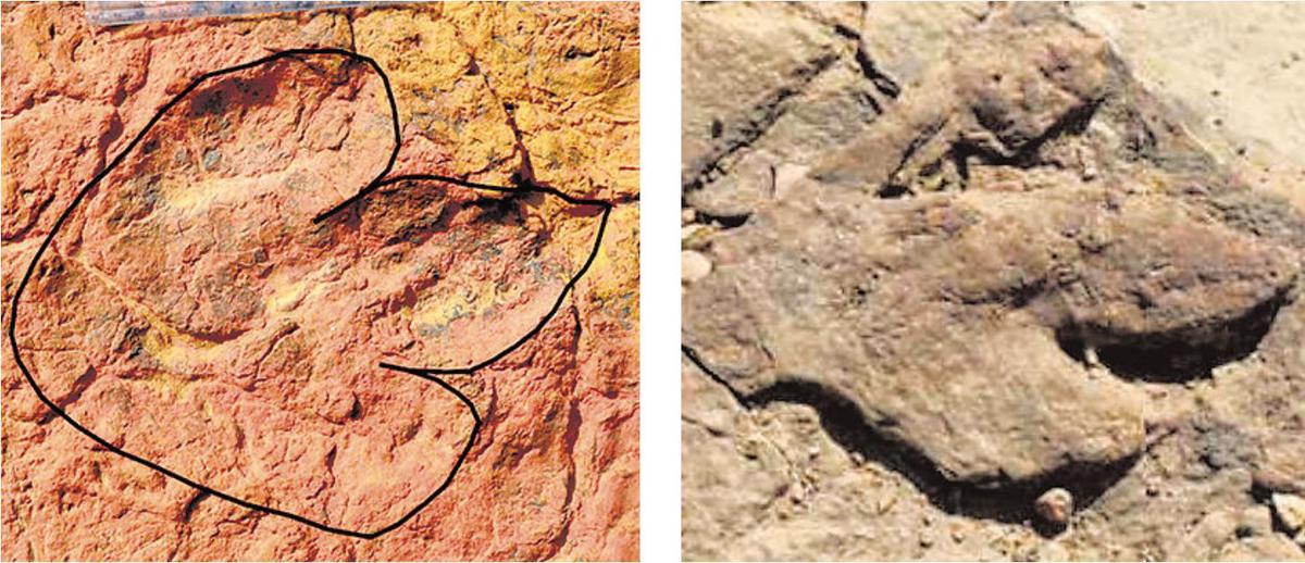 દાહોદમાં ડાયનાસોરના પગલાં? પાંડવકાલીન ઘૂઘરદેવ ગુફામાં મળ્યા જૂરાસિક યુગના સંકેતો Dinosaur Footsteps in Dahod Signs of jurassic era found in ghugharaddev cave during pandava period