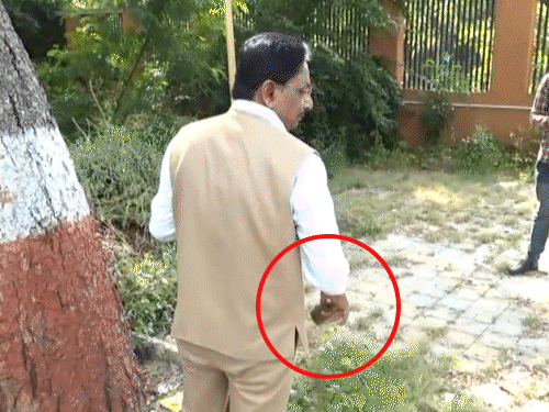 ગુજરાત યુનિવર્સિટીમાં સ્વચ્છતા અભિયાનમાં આરોગ્ય મંત્રીને મળ્યો દારૂનો ભેદ; સ્ટાફે બોટલ છુપાવી Health Minister found liquor in Gujarat University cleanliness drive Staff hid bottle