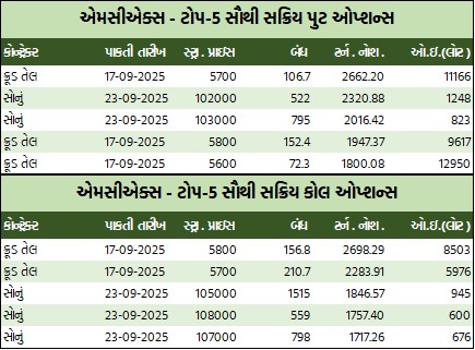 WhatsApp Image 2025 09 02 at 5.24.34 PM 1