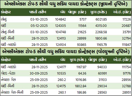 WhatsApp Image 2025 09 02 at 5.24.34 PM