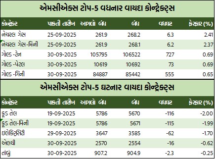 WhatsApp Image 2025 09 03 at 5.54.17 PM 1