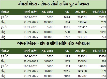 WhatsApp Image 2025 09 05 at 4.46.00 PM