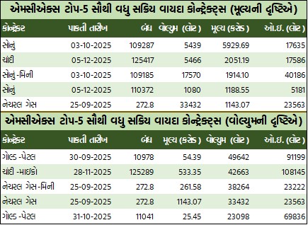 WhatsApp Image 2025 09 10 at 5.30.07 PM