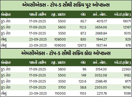 WhatsApp Image 2025 09 10 at 5.30.08 PM