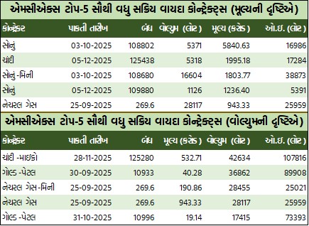 WhatsApp Image 2025 09 11 at 4.48.42 PM