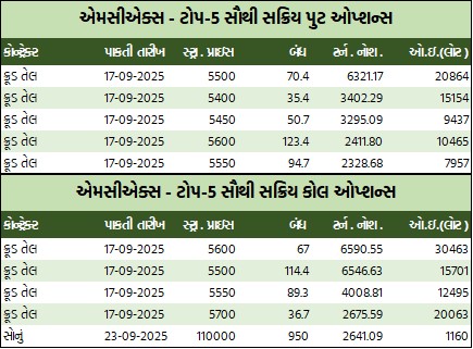 WhatsApp Image 2025 09 12 at 4.32.08 PM 2