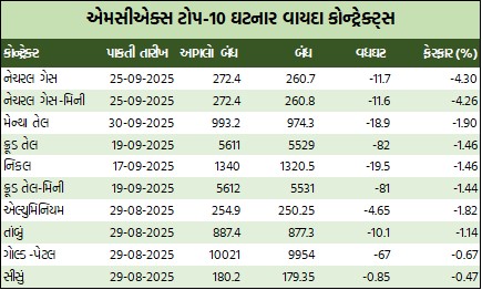 WhatsApp Image 2025 09 12 at 5.17.08 PM