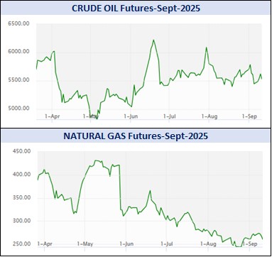 WhatsApp Image 2025 09 12 at 5.17.09 PM 1