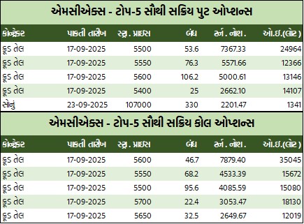 WhatsApp Image 2025 09 15 at 5.08.18 PM